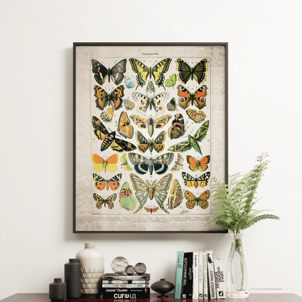 Vintage Entomology Giclee Print (Butterflies and Moths Plate From 1907)