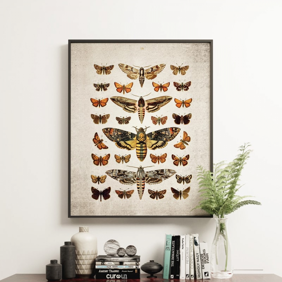 Vintage Entomology Giclee Print (Death's Head & Moths Plate From 1907)