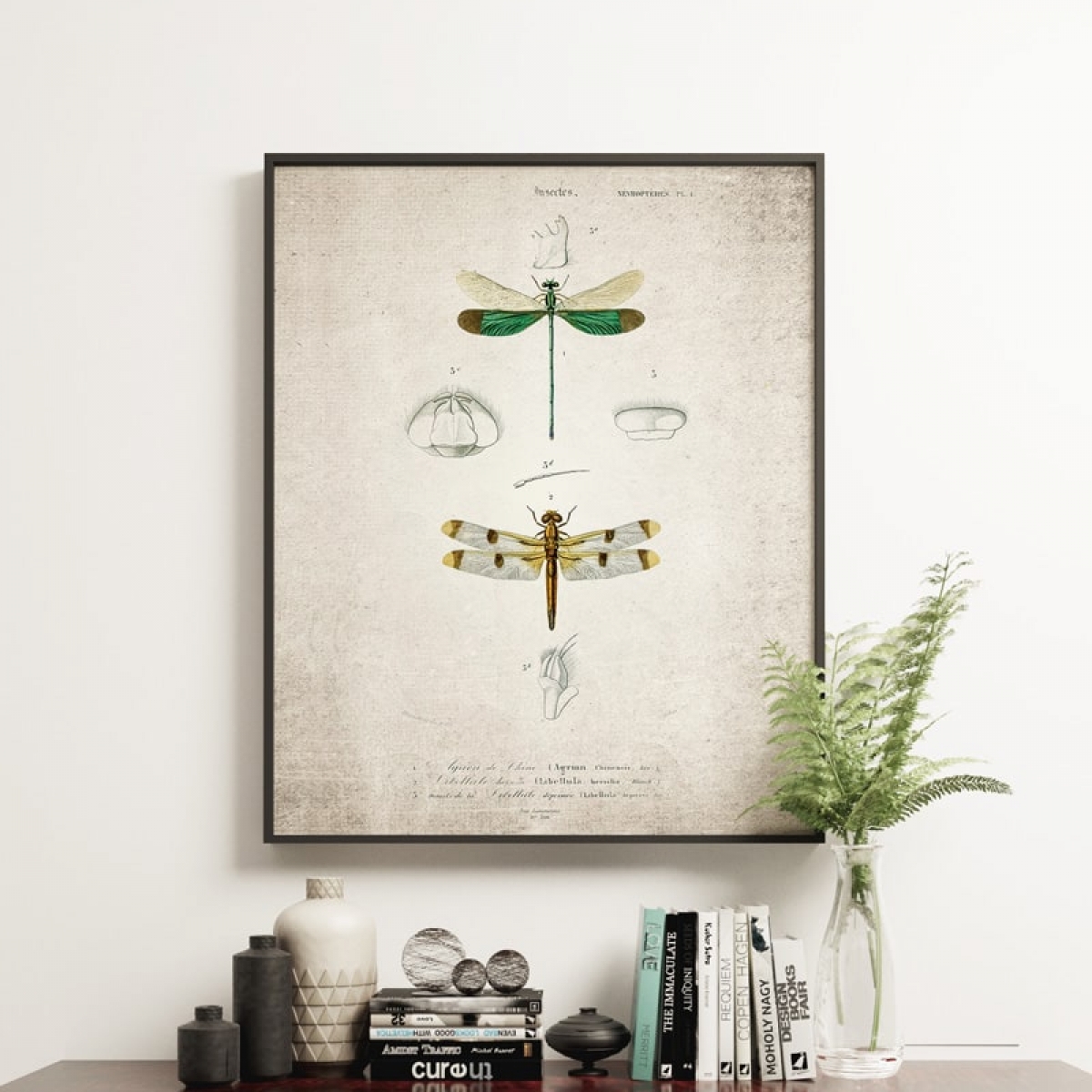 Vintage Entomology Giclee Print (Dragonflies Plate From 1907)