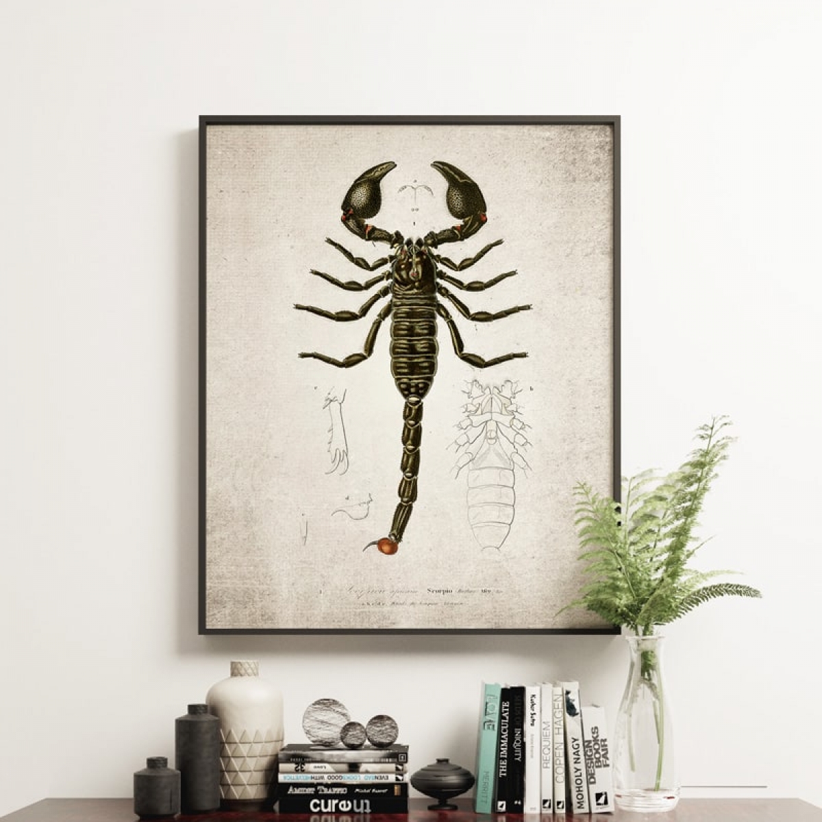 Vintage Entomology Giclee Print (Scorpion 1907)