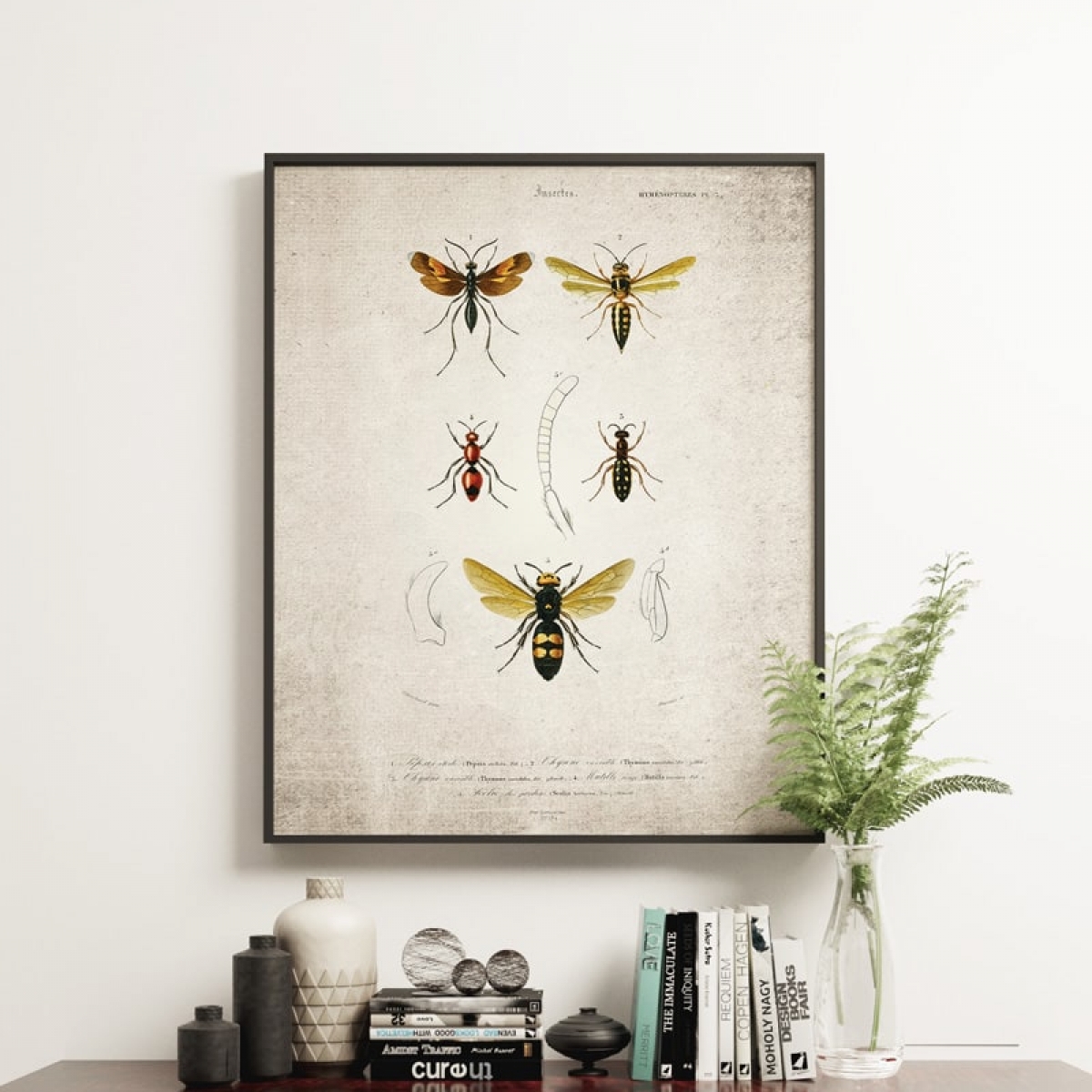 Vintage Entomology Giclee Print (Wasp Plate From 1907)