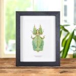 Minibeast Giant Leaf Insect in Box Frame (Phyllium giganteum)