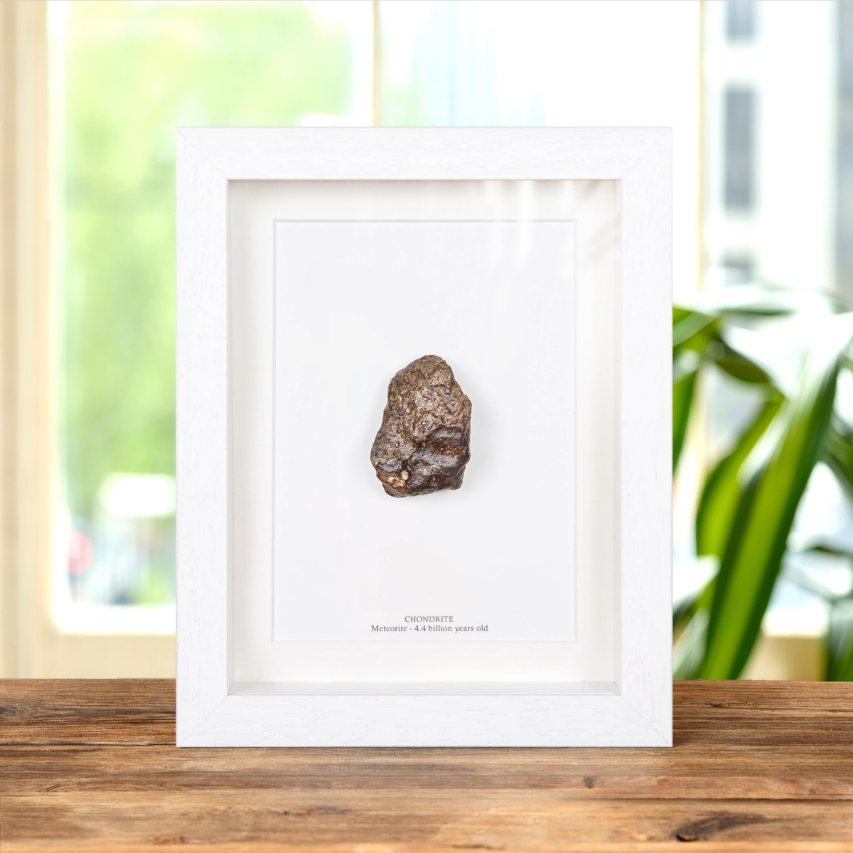 Large Meteorite in Box Frame