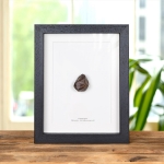 Minibeast Medium Meteorite in Box Frame