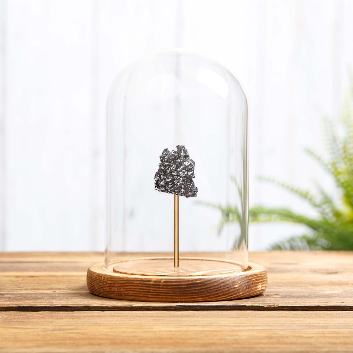 Campo del Cielo Meteorite in Glass Dome with Wooden base