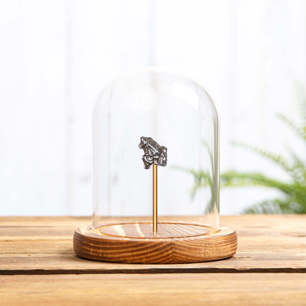 Small Campo del Cielo Meteorite in Glass Dome with Wooden base