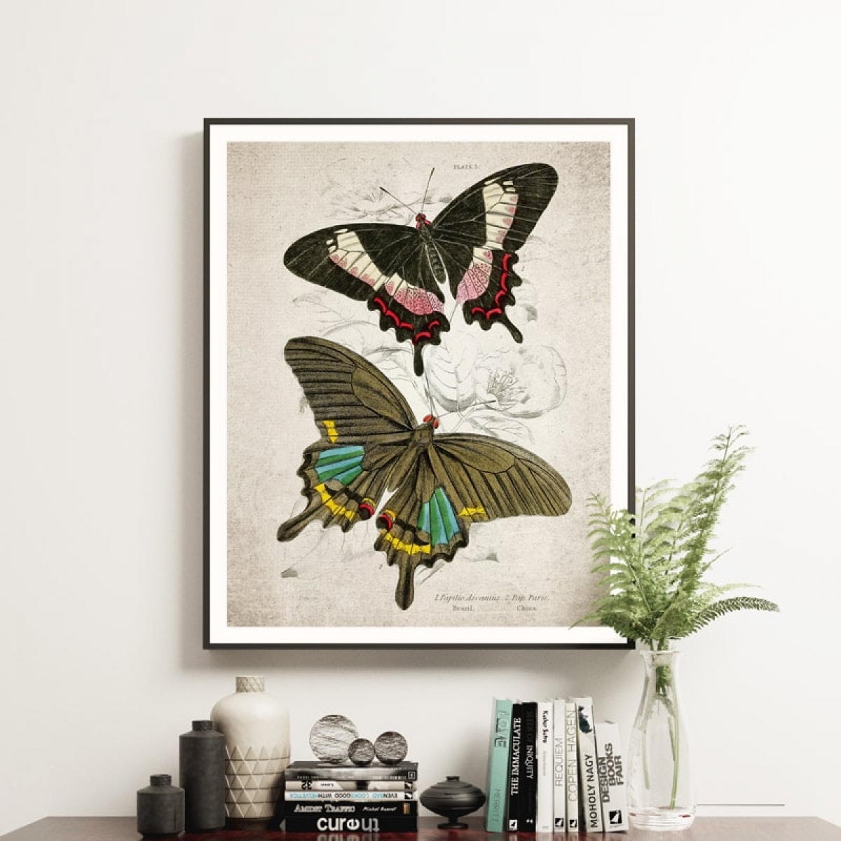 Minibeast Vintage Entomology Giclee Print (Papilio ascanius 1835)