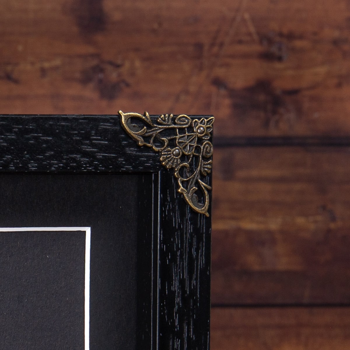 Giant Leaf Insect in Baroque Style Box Frame