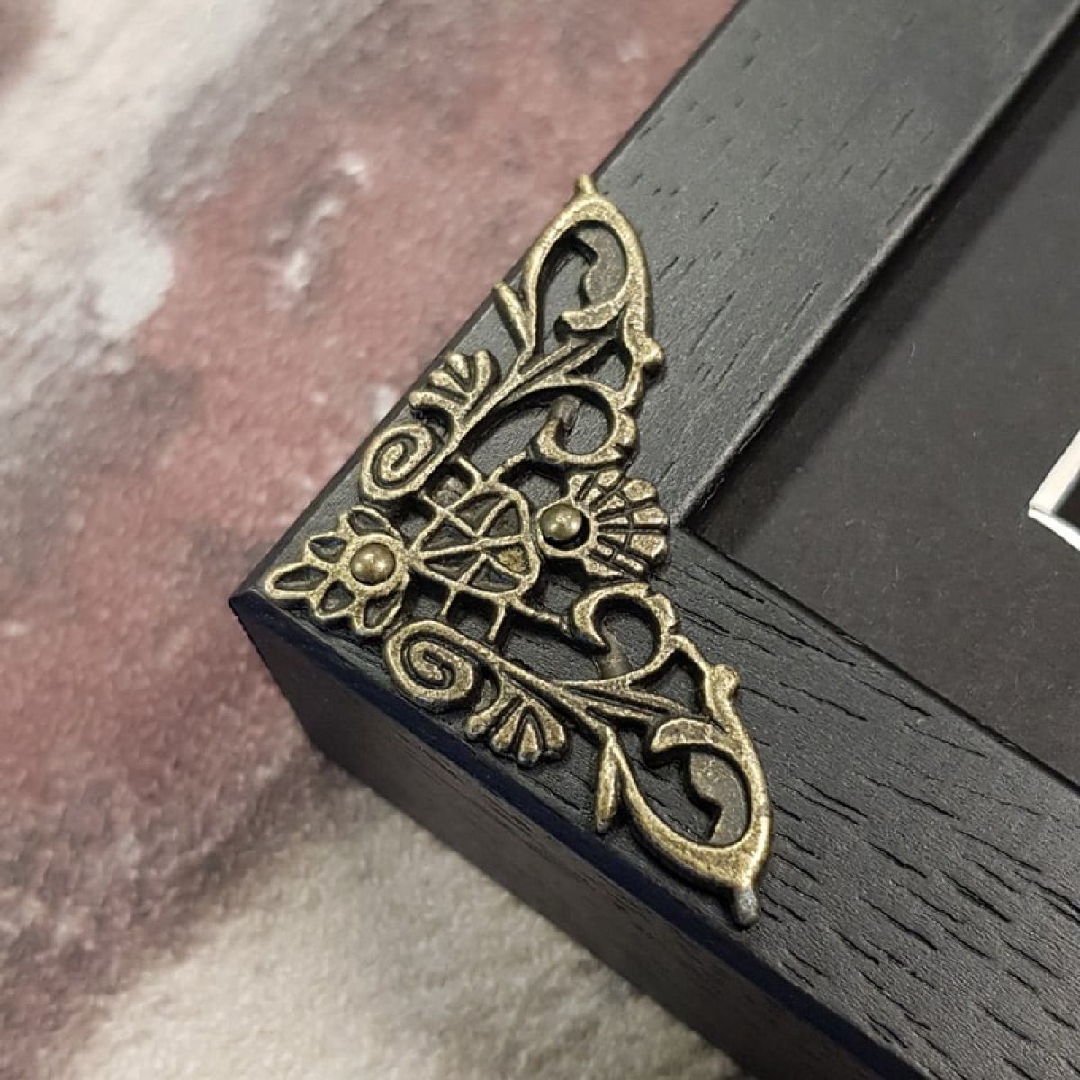 Female Lo Moth in Baroque Style Box Frame