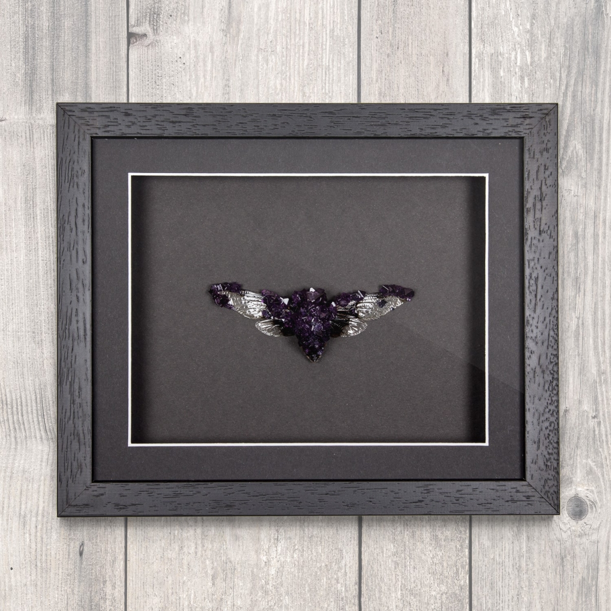 Minibeast Cicada (Cryptotymapana aquila) with Purple Crystals in Box Frame