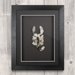 Minibeast Scorpion (Heterometrus) with Clear Crystals in Box Frame