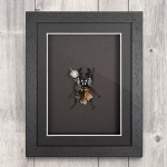 Minibeast Stag Beetle (Lucanidae odontolabis ludekingi) with Clear Crystals in Box Frame