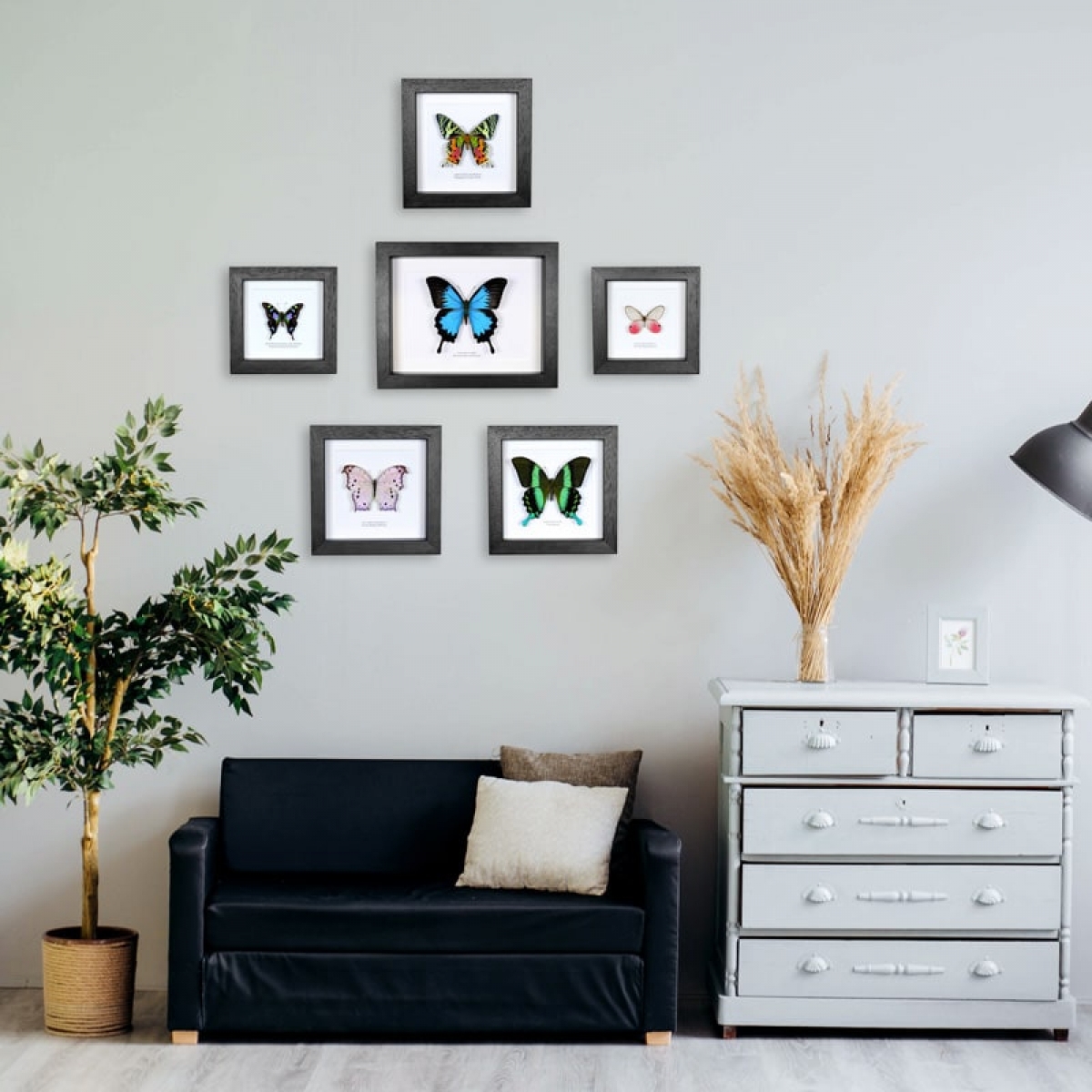 Minibeast Minibeast Best Sellers Entomology Wall Display - "Lounge"