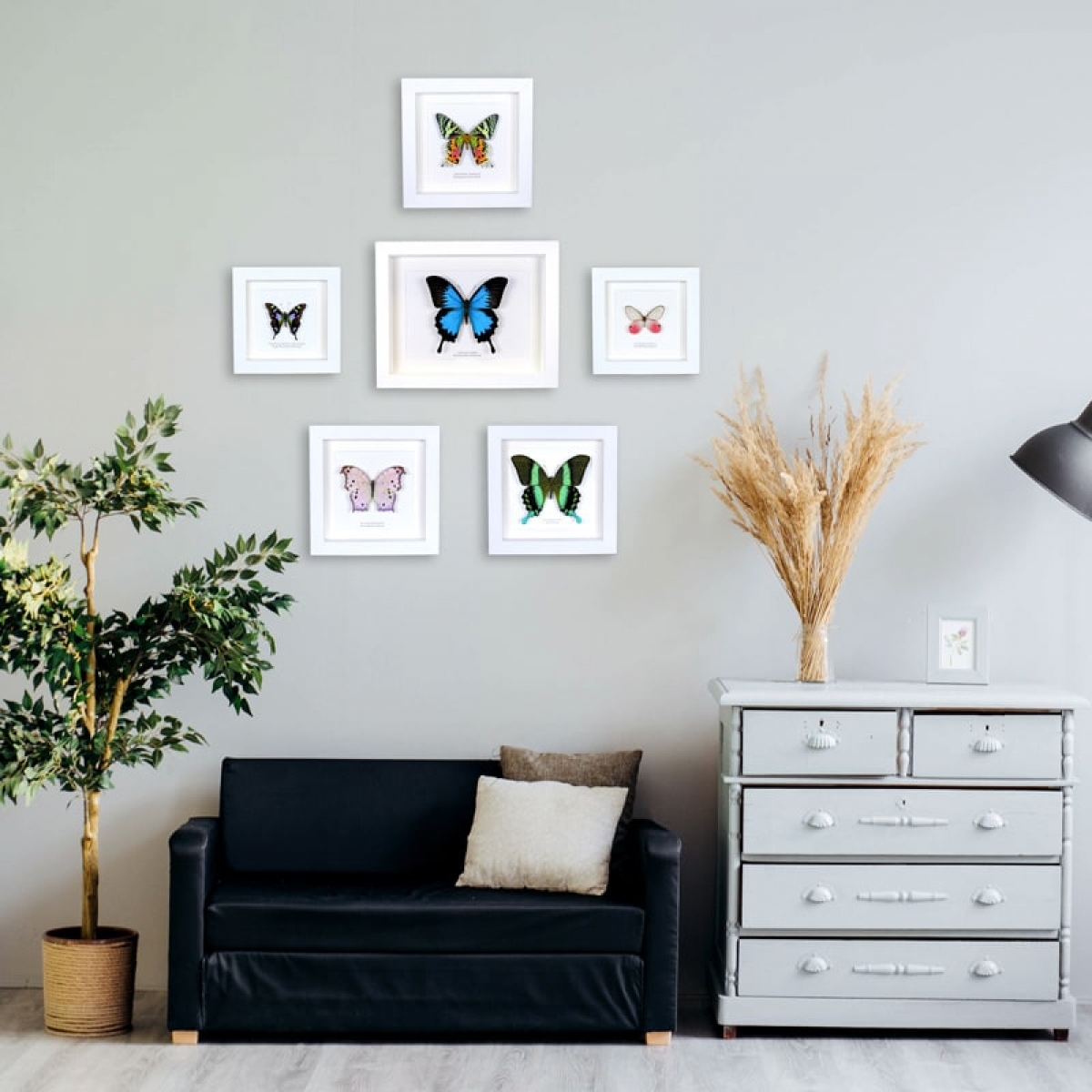 Minibeast Best Sellers Entomology Wall Display - "Lounge"