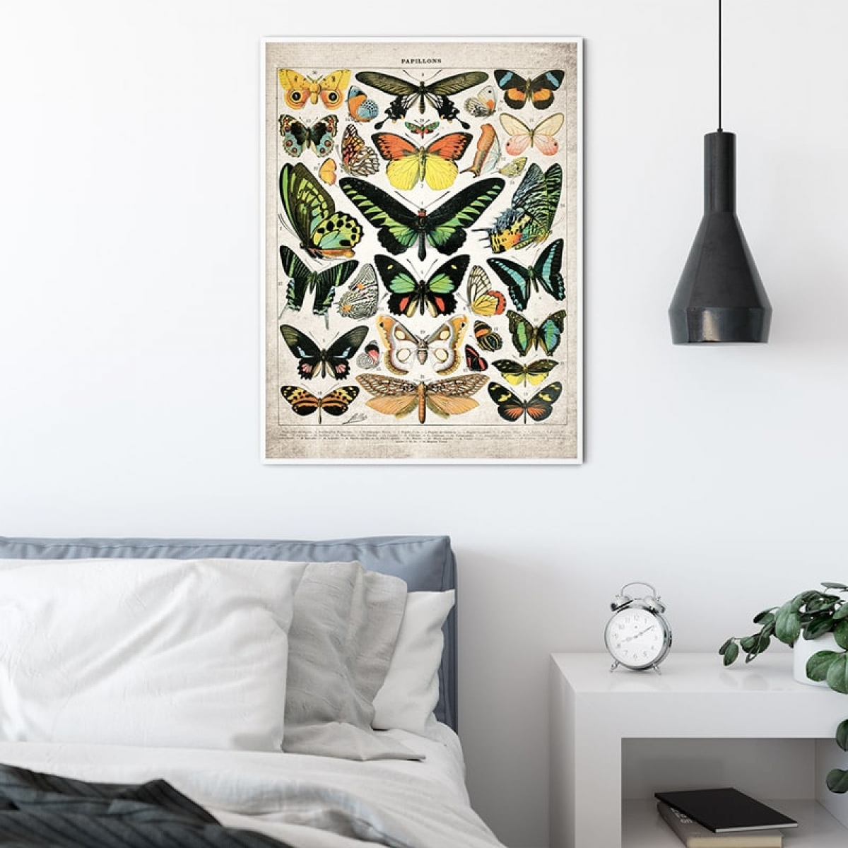 Vintage Entomology Giclee Print (Butterflies and Moths Plate 2 From 1907)
