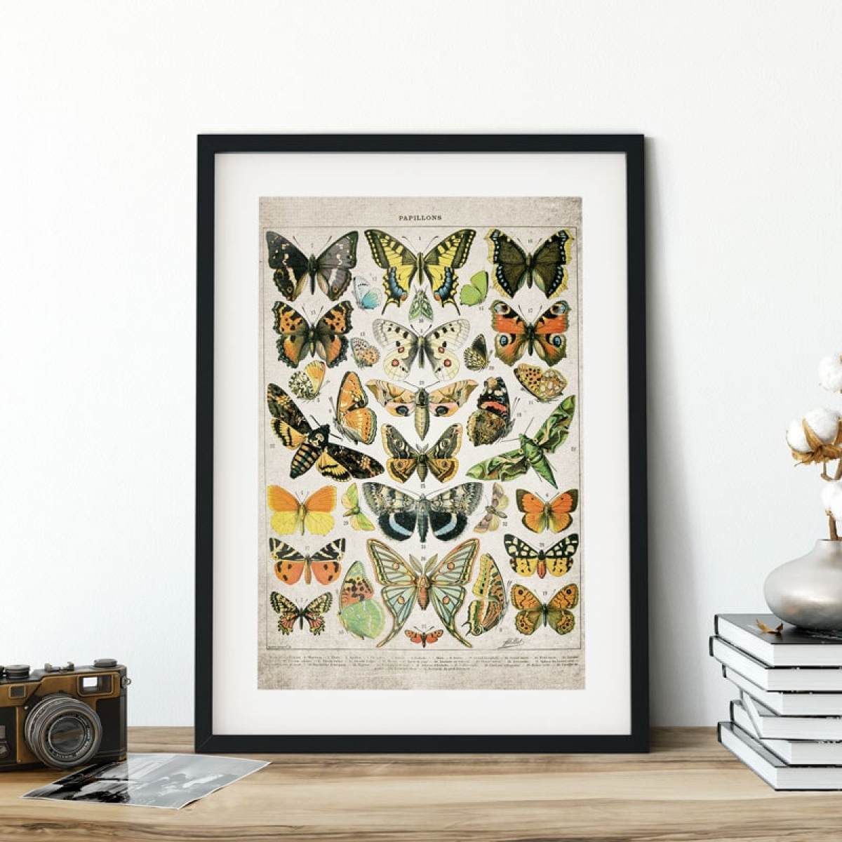 Minibeast Vintage Entomology Giclee Print (Butterflies and Moths Plate From 1907)