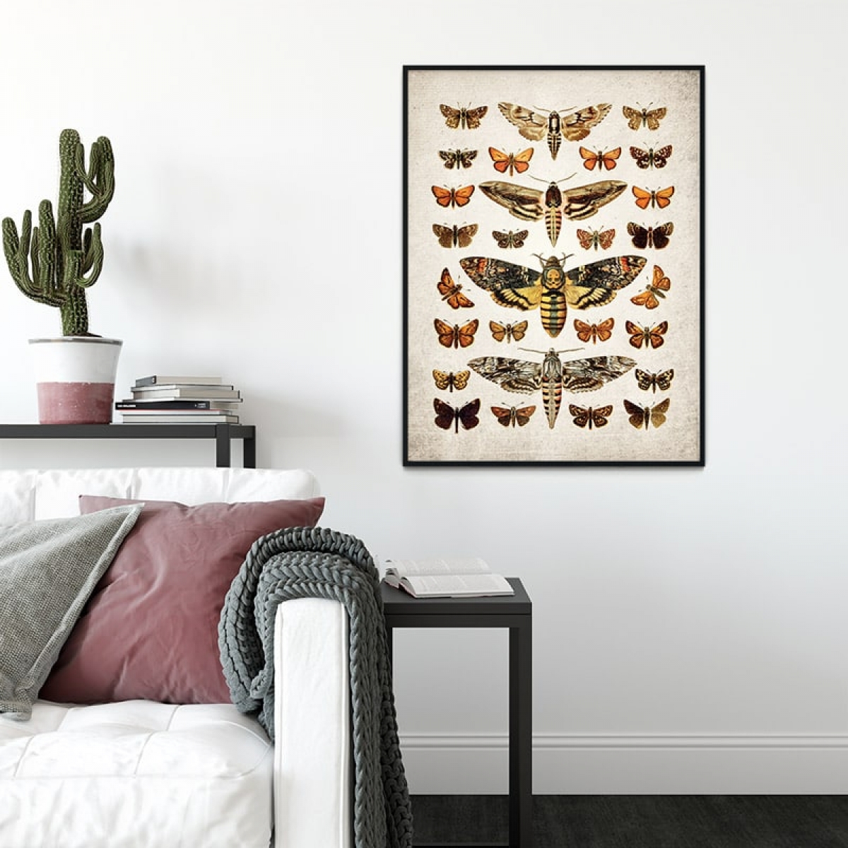 Vintage Entomology Giclee Print (Death's Head & Moths Plate From 1907)