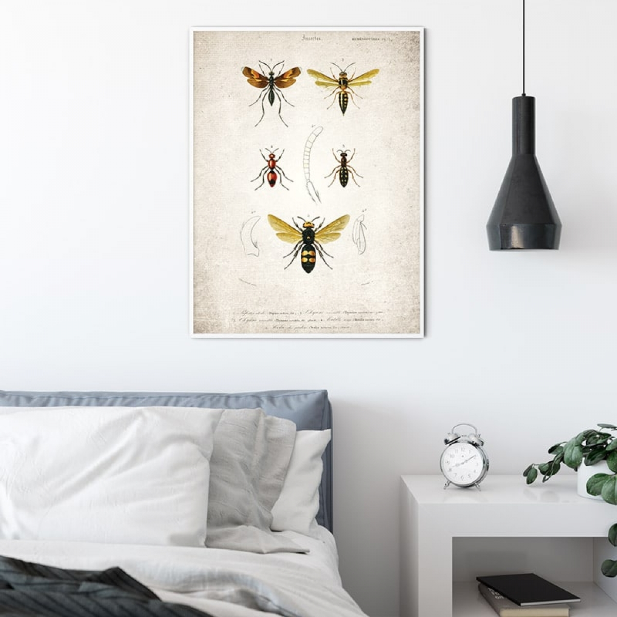Vintage Entomology Giclee Print (Wasp Plate From 1907)