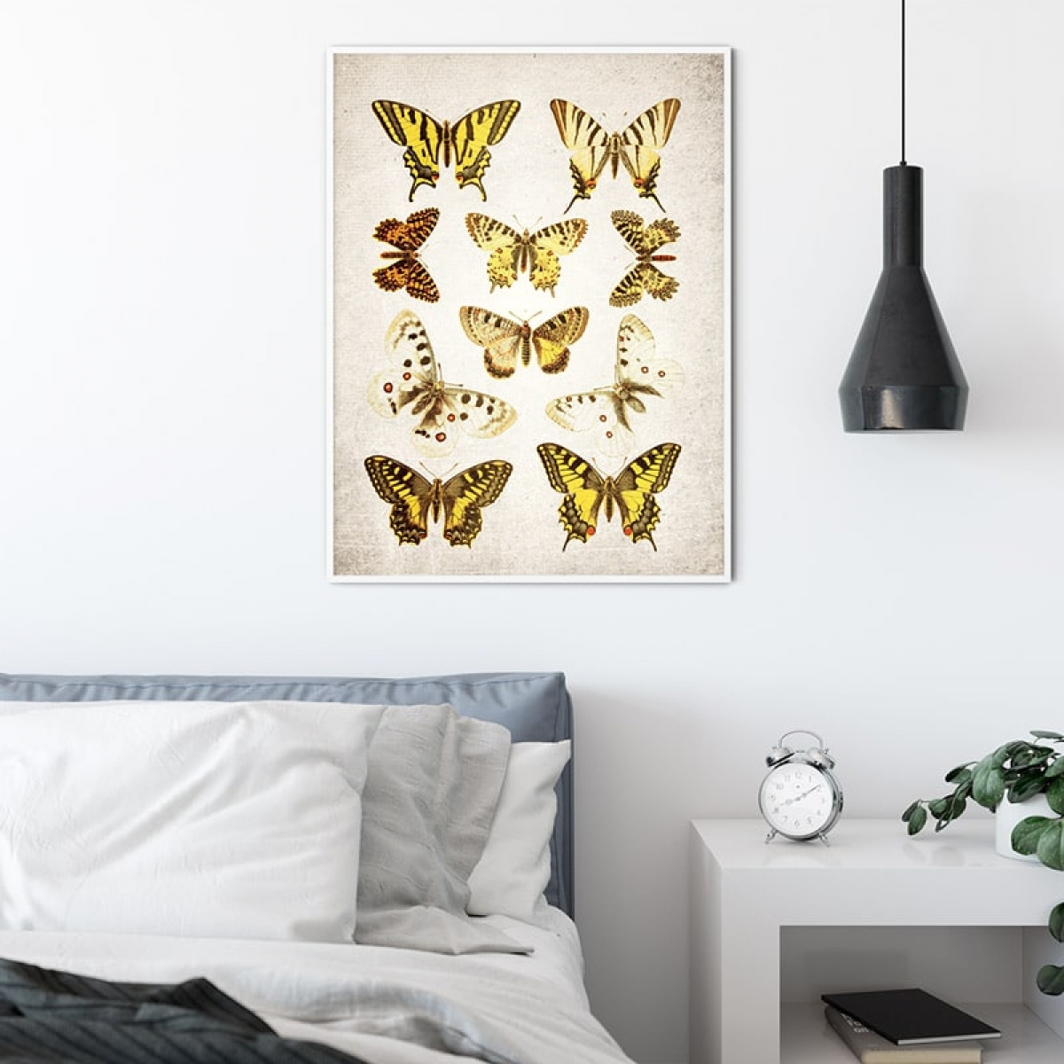 Vintage Entomology Giclee Print (Papilio Plate 1907)