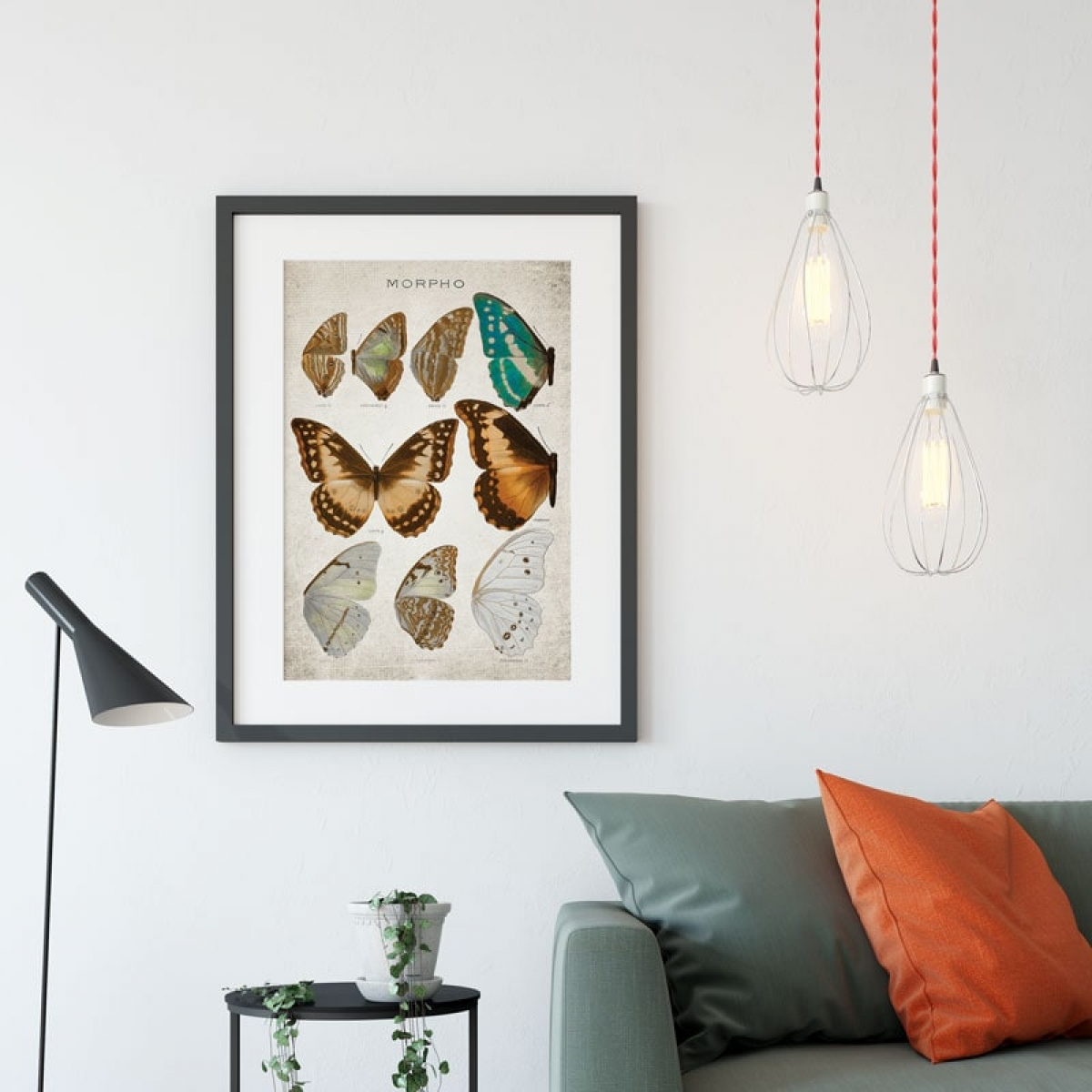Vintage Entomology Giclee Print (Morpho Collection 1 Plate From 1867)