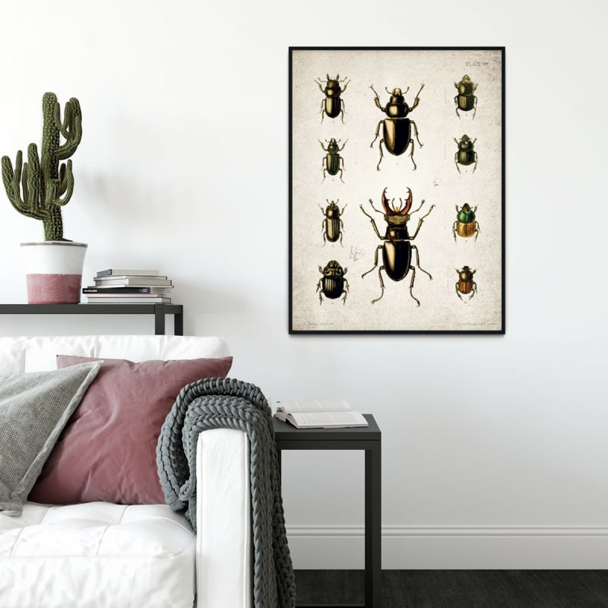 Vintage Entomology Giclee Print (Beetle Plate From 1867)
