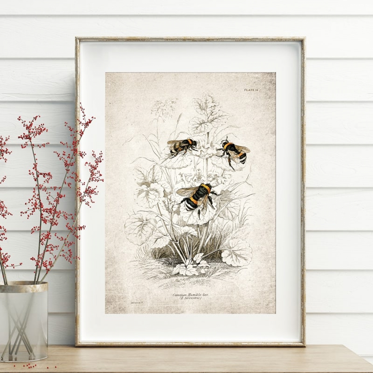 Minibeast Vintage Entomology Giclee Print (Bee Scene 1925)