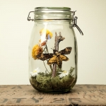 Minibeast Glass Jar Terrarium Kit with Death Head Moth