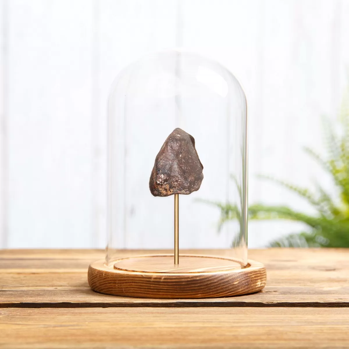 Meteorite in Glass Dome with Wooden Base